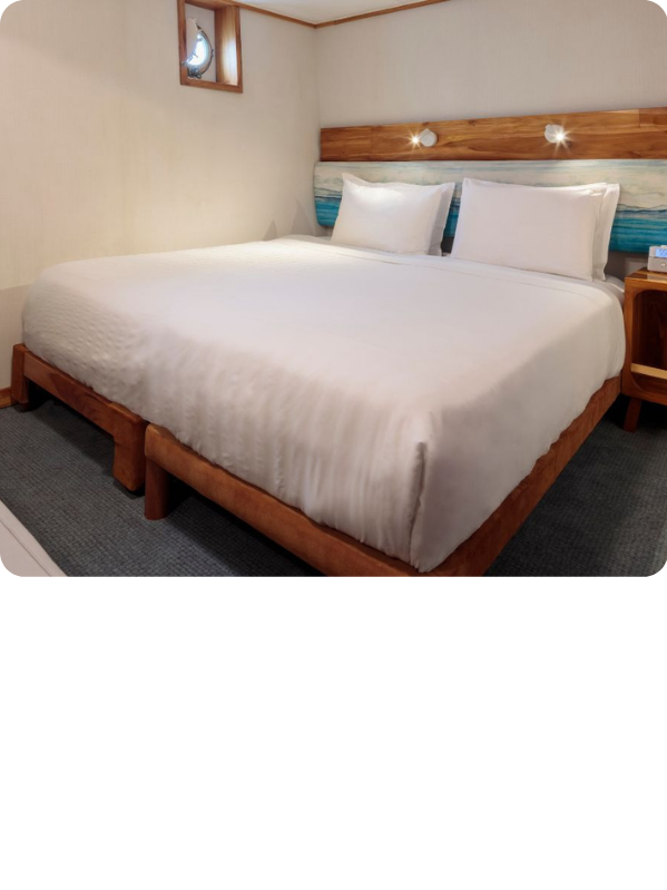 Cabina: Standard Plus