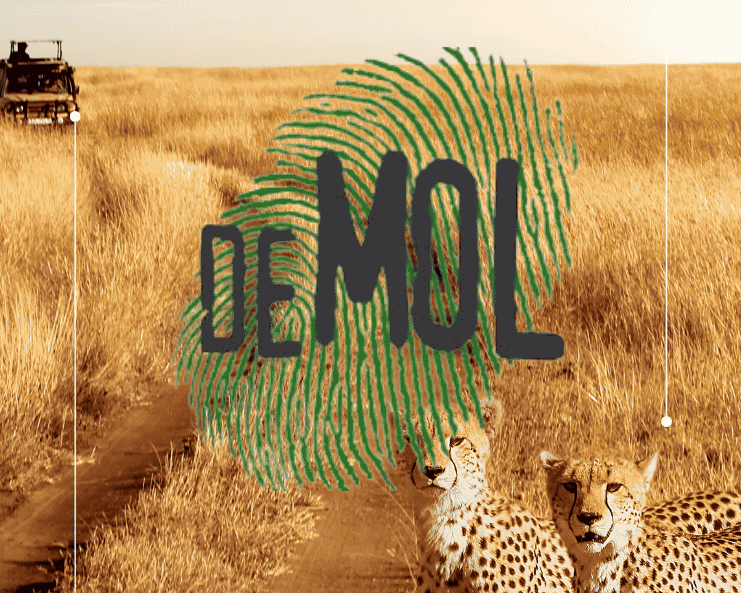 Wie is de Mol? Tanzania & Zanzibar - 14 nachten