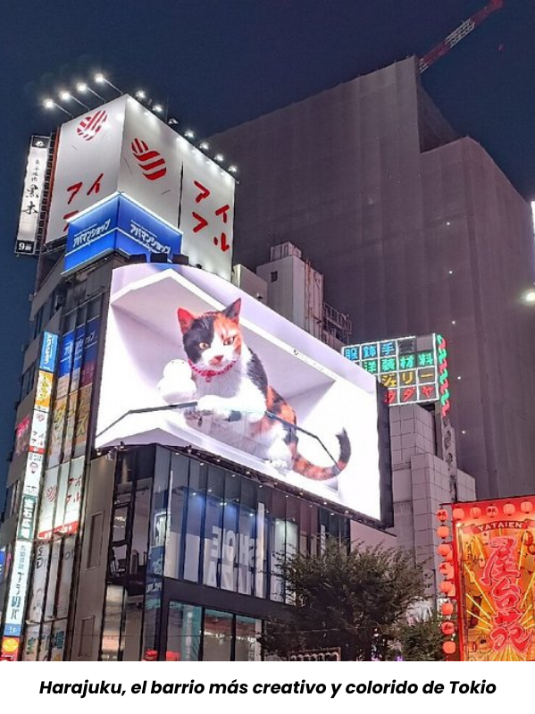 Encuentros inesperados en Tokio