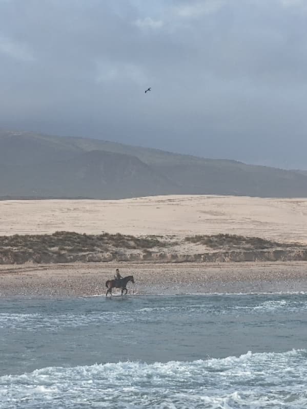 Al Damar Beach