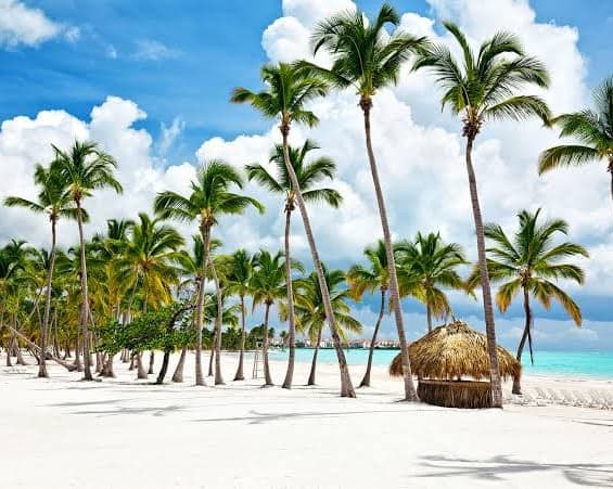 Punta Cana con Latam + Carry on "08 al 12 Dic"