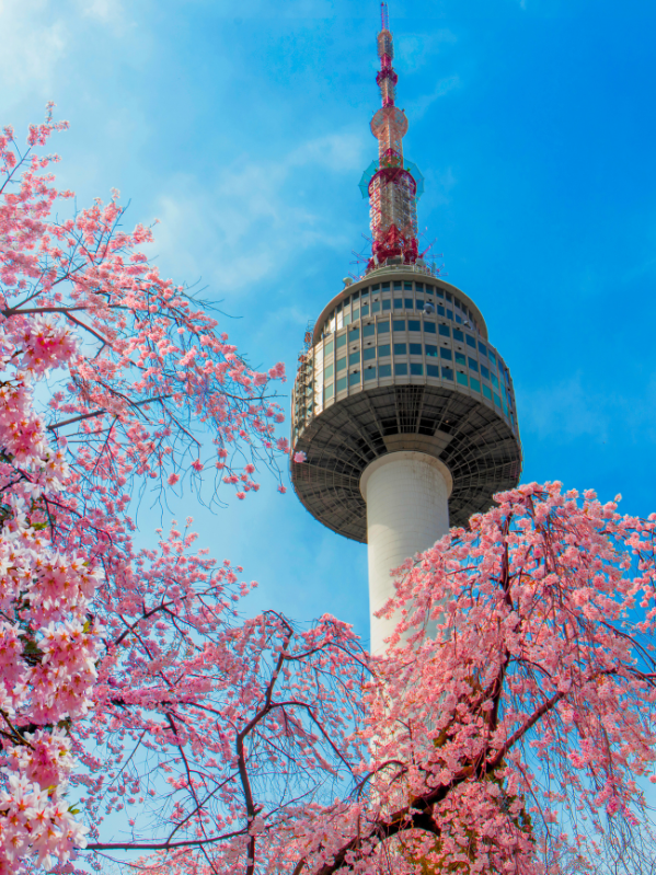 Tendencias de Viaje 2026