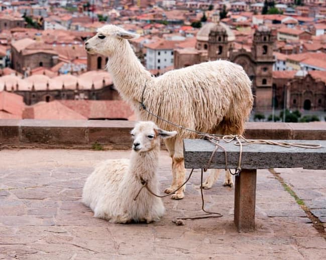 Cusco + Carry on con LATAM "31dic al 03ene"