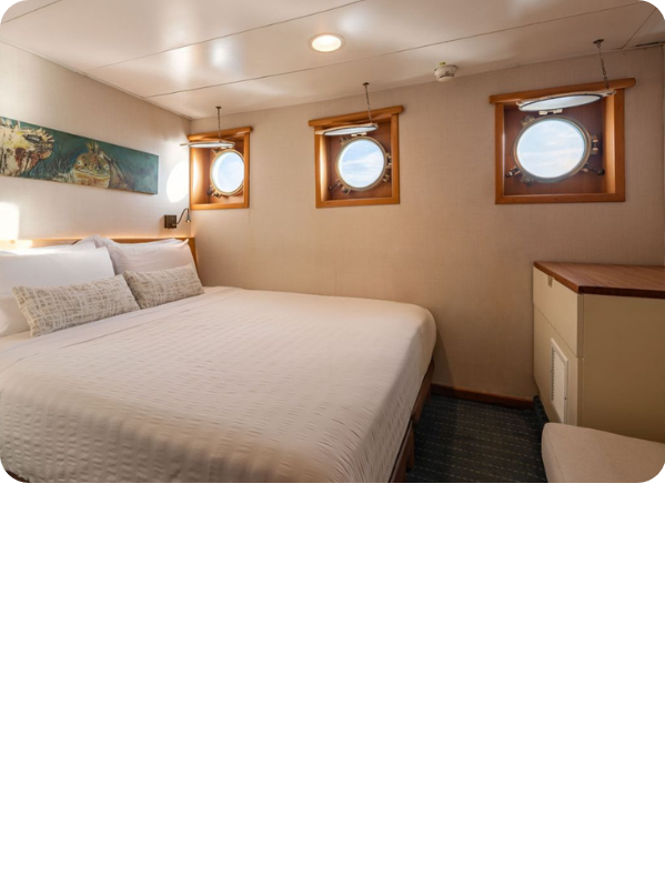 Cabina: Estándar Plus