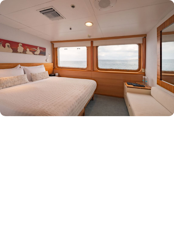 Cabina: Junior Suite