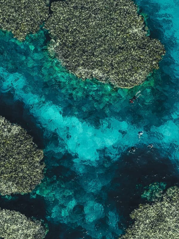 Explorez la dernière frontière de la mer Rouge