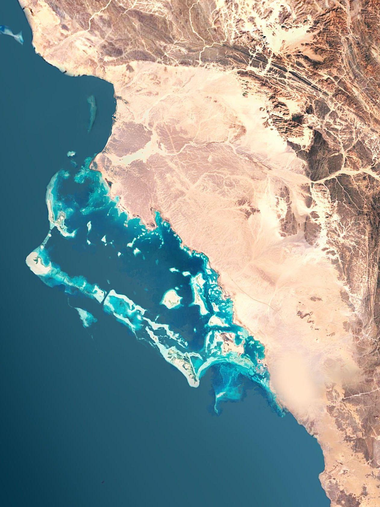 The Red Sea Projects 