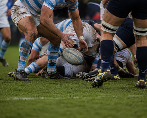 Rugby Nations Championship Irlanda vs Argentina - 6 noviembre