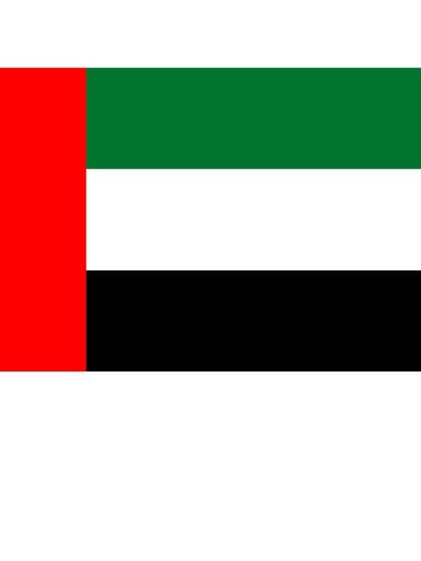 EMIRATI ARABI