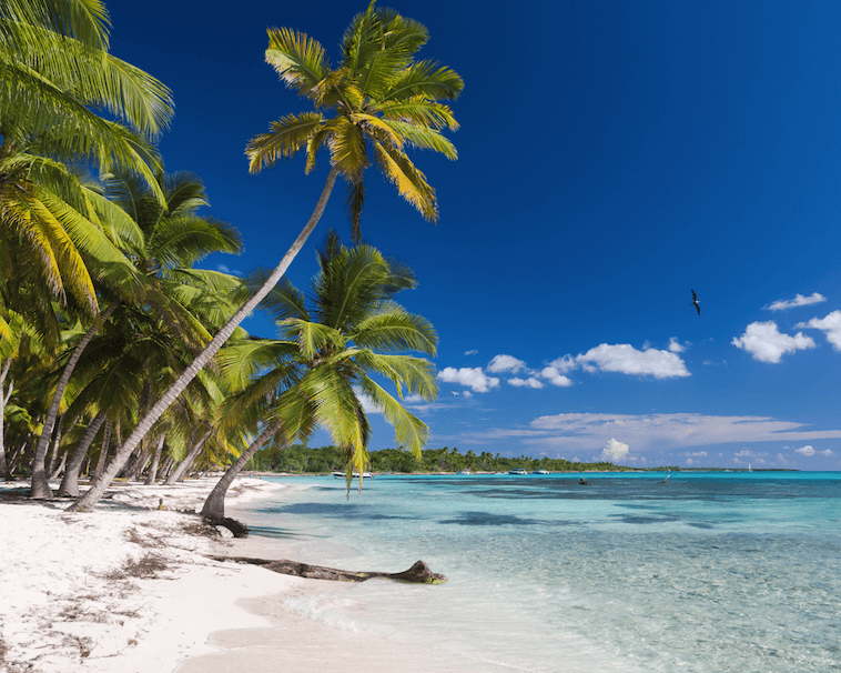 Punta Cana a tu medida con LATAM + Carry on "31dic al 04ene"