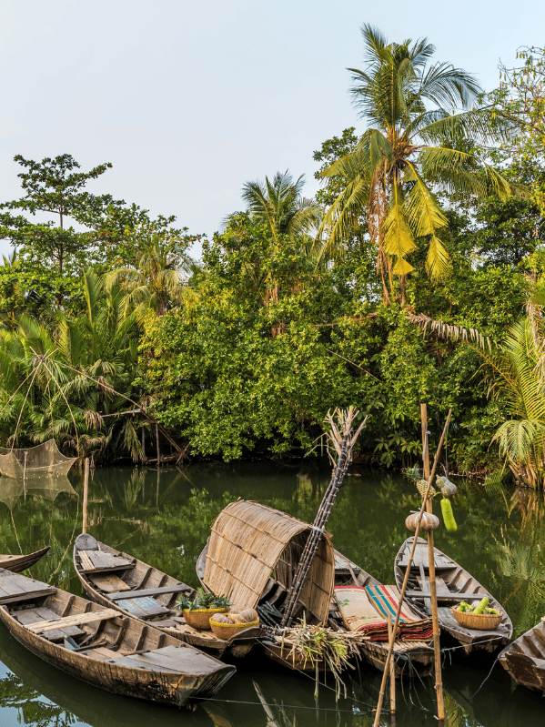 Delta del Mekong: un mundo flotante lleno de vida