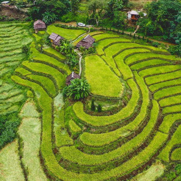 Bangkok, Chiang Mai y playas: cómo combinar el recorrido