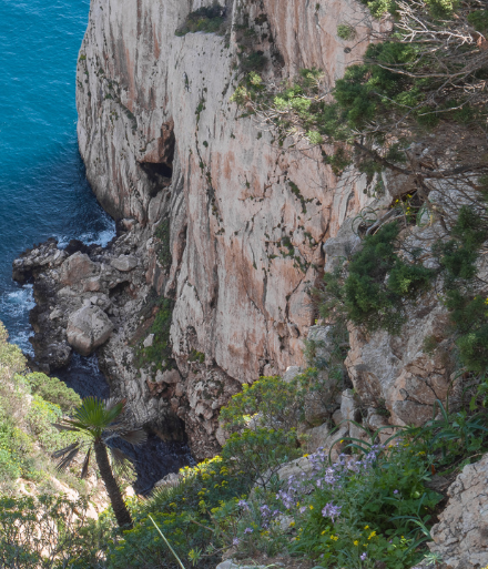 EXPLORA LA NATURALEZA