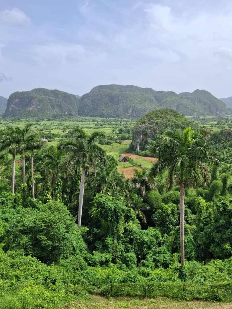 Viñales: Naturaleza, Tradición y Paisajes Únicos