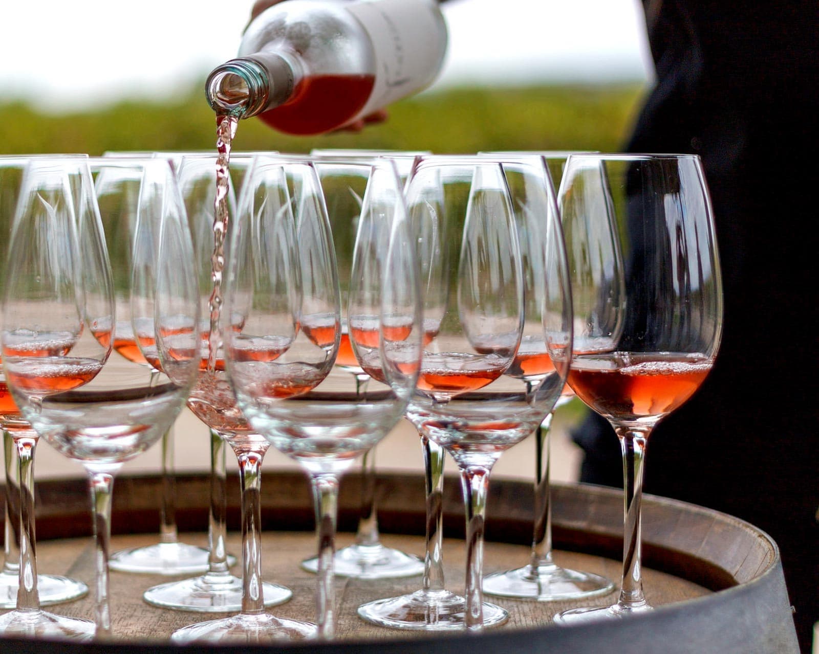 Argentina Wine Experience, 9 nopti