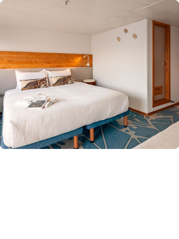 Cabina: Balcony Suite